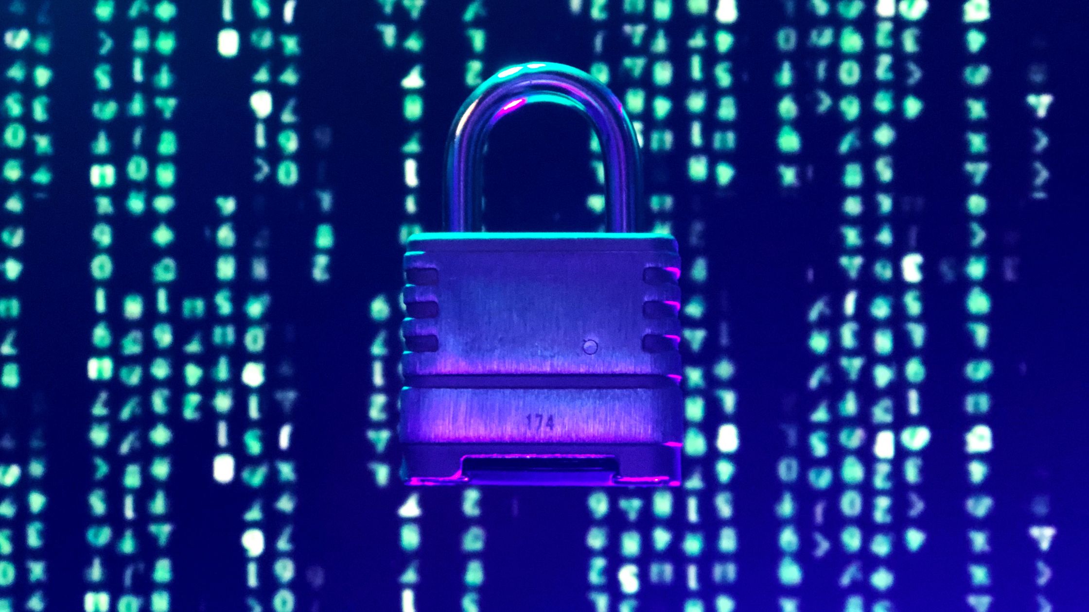 vulnerabilità informatiche